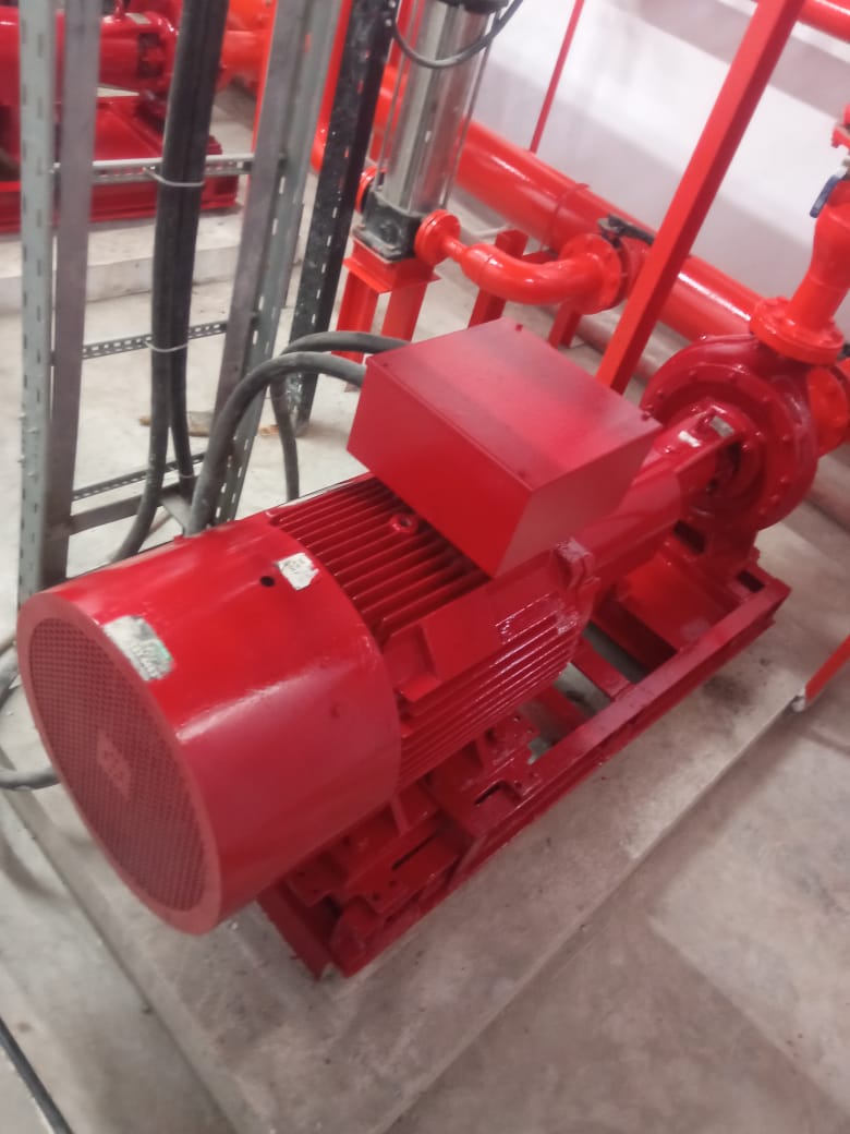 WhatsApp Image 2026-01-12 at 10.39.50 AM (1)