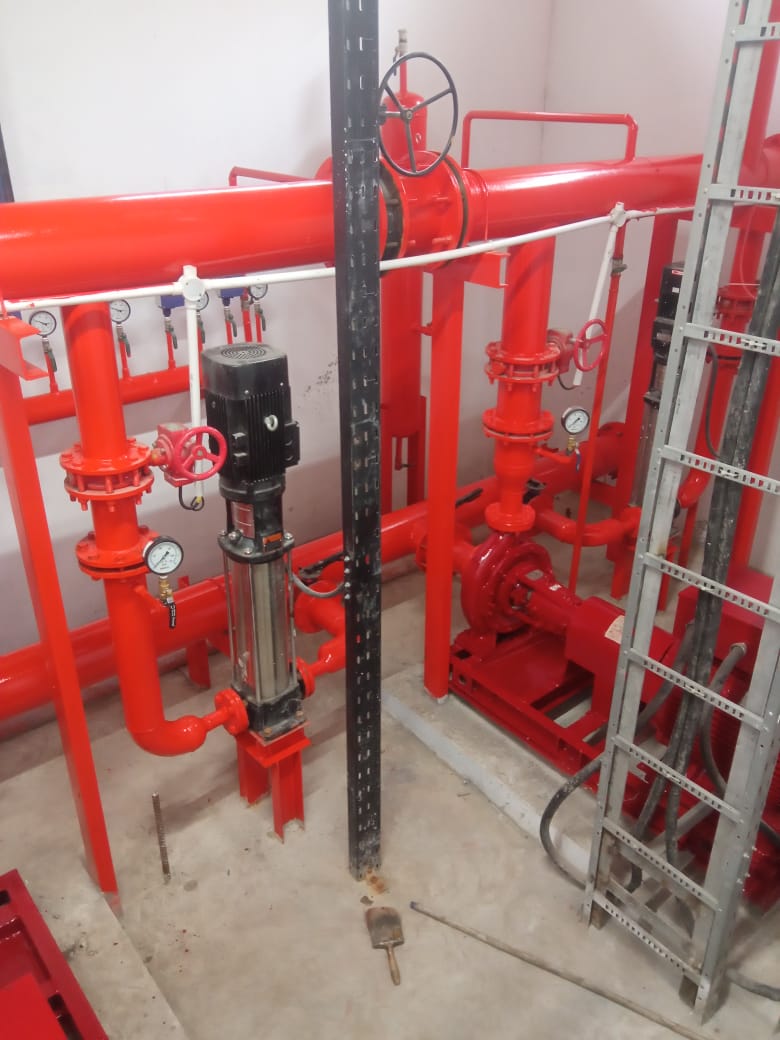 WhatsApp Image 2026-01-12 at 10.39.50 AM